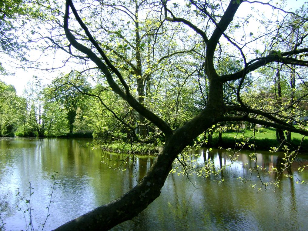 Etang