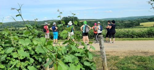 Visite des vignes et du domaine de Charcenne