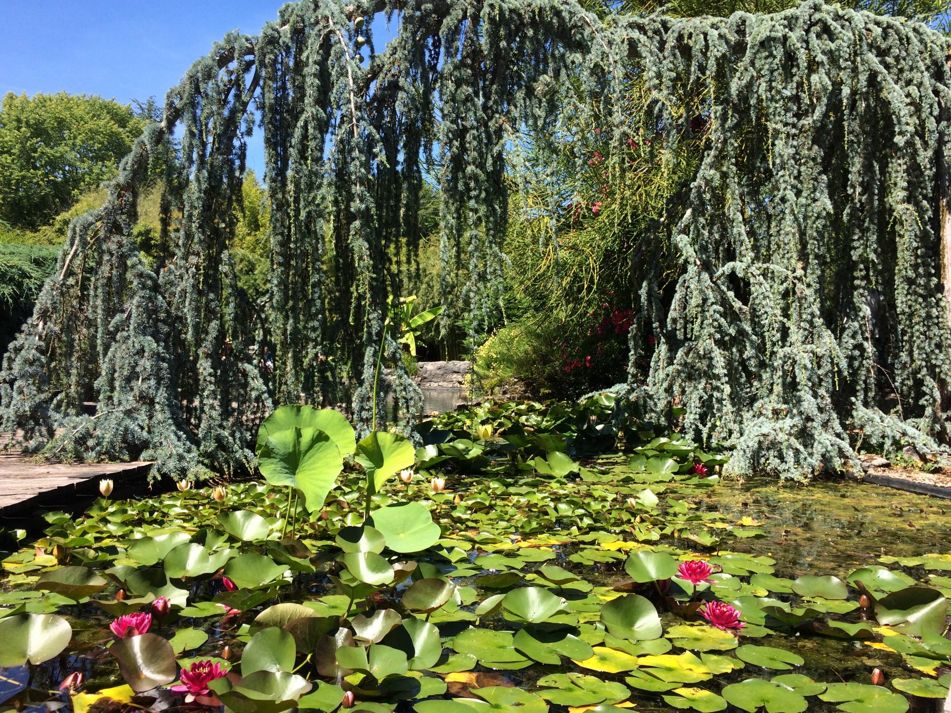 Les Jardins Bio Des Monts De Gy